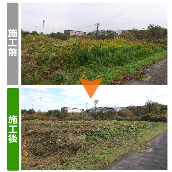 宮城県仙台市泉区の空き地草刈り施工実績写真